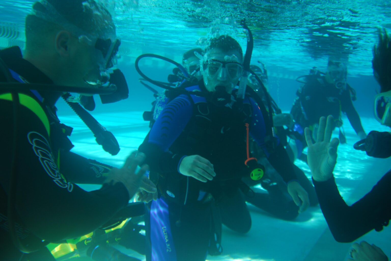 Thrilling Encounter: Diving Instructor Discovers Massive Shark While Swimming off South Carolina Coast!