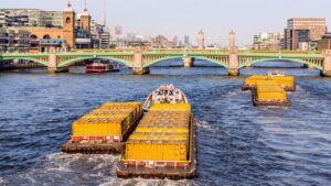 Activists Rally for the Right to Swim in Cities’ Urban Waterways Worldwide