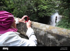 Tragic Swimming Accident Claims Life of Stockbridge Man Near Troup County Dam