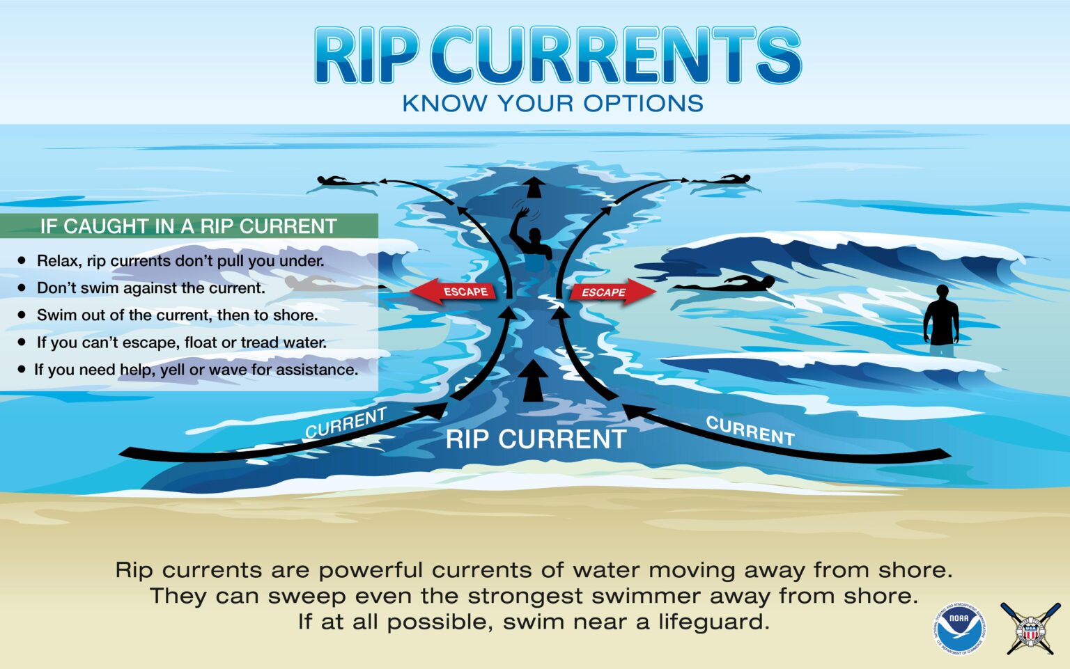 Beware of Rip Currents: How They Can Pull You Under in Just 15 Seconds