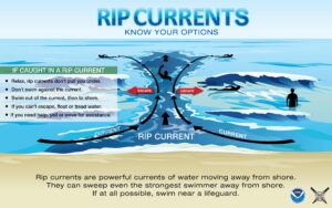 Beware of Rip Currents: How They Can Pull You Under in Just 15 Seconds