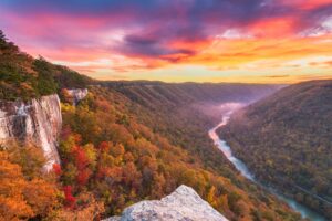 West Virginia Excited to Welcome Matt O’Neill as New Head Diving Coach