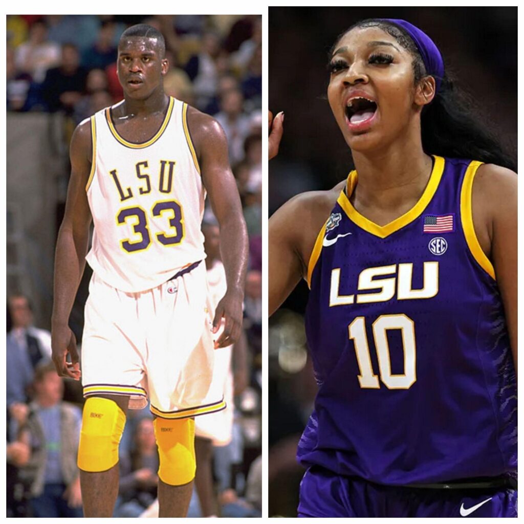 LSU Athletes Break Silence on Bullying and Racism Allegations Within Swimming and Diving Team
