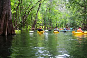 Explore the Stunning Natural Wonders of Ichetucknee Springs State Park in Florida