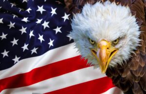 American Receives Grant from the Women’s Sports Foundation – aueagles.com