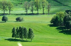 Tormenta de plazas rumbo al Europeo en el Nacional de Barcelona