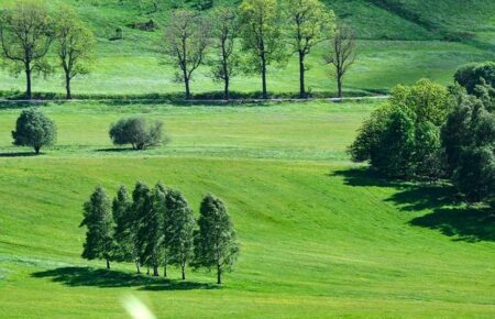 Tormenta de plazas rumbo al Europeo en el Nacional de Barcelona Tormenta de plazas rumbo al Europeo en el Nacional de Barcelona