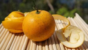 Cam McEvoy Blazes Through 25m Time Trial, Setting the Stage for an Epic Japan Open in Tokyo