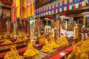 Le Clos and Coetze Ignite South Africa’s Charge at Vladimir Salnikov Cup