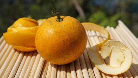 Can Sprint King Cam McEvoy Lead the Dolphins to Global Glory? Can Sprint King Cam McEvoy Lead the Dolphins to Global Glory?