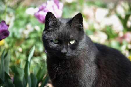 Jeanne Lechevalier Smashes All Three French Records for 16-Year-Olds at Winter Junior Champs