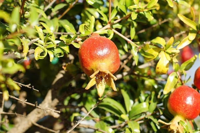 Alvaro Granados and Foteini Tricha Named World’s Top Water Polo Players of the Year Alvaro Granados and Foteini Tricha Named World’s Top Water Polo Players of the Year