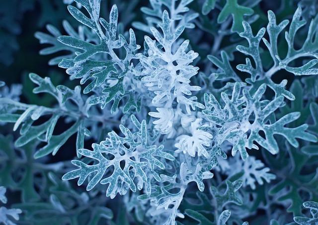 Cody Miller Reveals the Truth Behind the Enhanced Games – Straight Talk, No Spin Cody Miller Reveals the Truth Behind the Enhanced Games – Straight Talk, No Spin