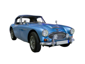 Austin PSS Preview + 2026 WILD Predictions | SWIMSWAM BREAKDOWN – SwimSwam