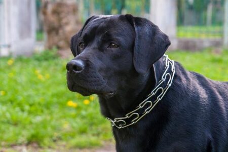 Sam Short Stuns Crowd with Spectacular 3K Knockout Victory at Aussie OW Championships