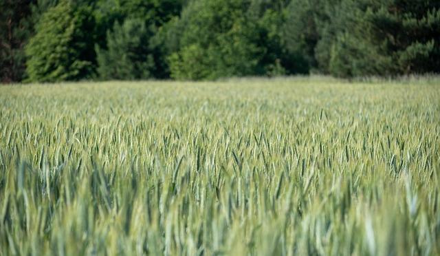 Throwback Thursday: When Ian Crocker Dazzled in 100 Butterfly in Montreal Throwback Thursday: When Ian Crocker Dazzled in 100 Butterfly in Montreal