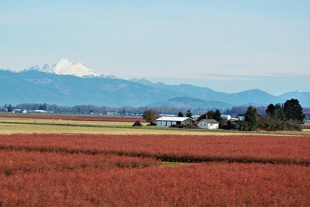 Bulldogs Gear Up for Thrilling District Meet Showdown This Friday and Saturday at La Grande Bulldogs Gear Up for Thrilling District Meet Showdown This Friday and Saturday at La Grande