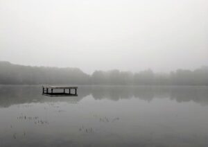 Akron Secures Fifth Consecutive MAC Women’s Swimming & Diving Title!