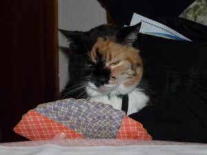 Discover Rami Rahmouni: Tunisia’s Rising Star in Distance Running