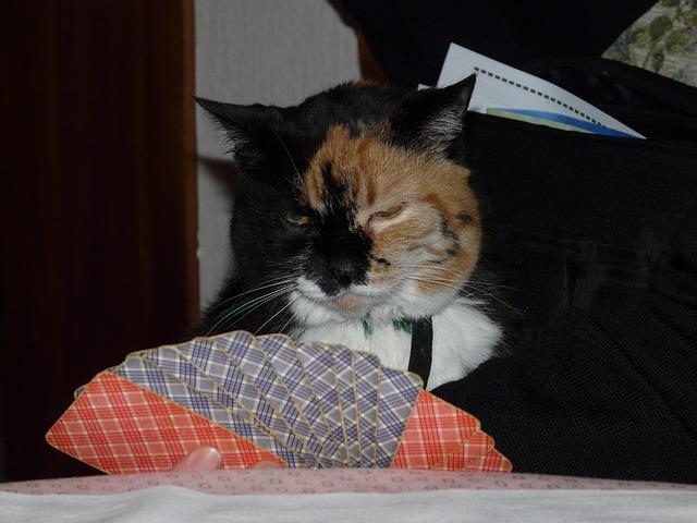 Discover Rami Rahmouni: Tunisia’s Rising Star in Distance Running Discover Rami Rahmouni: Tunisia’s Rising Star in Distance Running