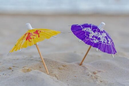 UVA Swimming Embarks on an Exciting Offseason Adventure UVA Swimming Embarks on an Exciting Offseason Adventure