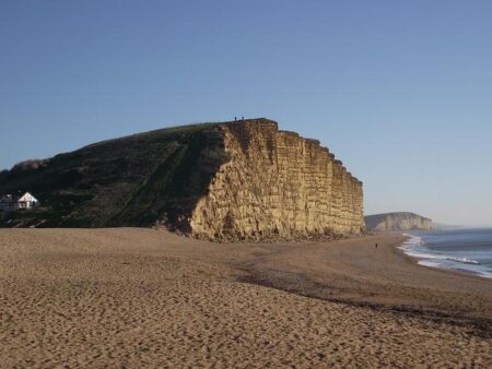 Triumphant Swimmers Celebrate Victory in Broadchurch Beach Campaign