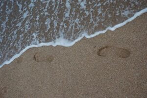 Several Beaches Closed to Swimming Due to Bacteria Warnings