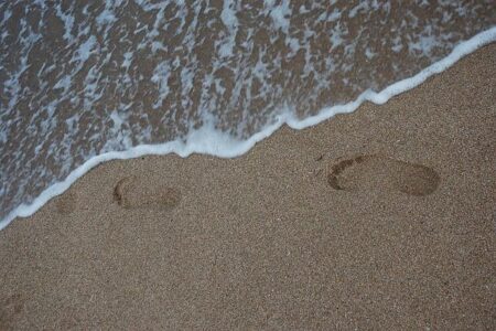 Several Beaches Closed to Swimming Due to Bacteria Warnings Several Beaches Closed to Swimming Due to Bacteria Warnings