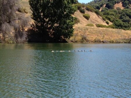 July Brings Ideal Swimming Weather to Lake Mendocino and Blue Lakes July Brings Ideal Swimming Weather to Lake Mendocino and Blue Lakes