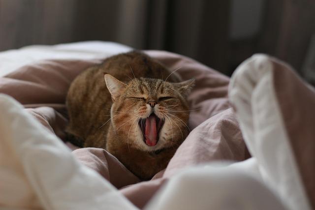 Fearless High Divers Take the Plunge in the Seine as Paris Breathes New Life into Its River Fearless High Divers Take the Plunge in the Seine as Paris Breathes New Life into Its River