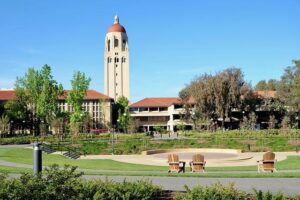 Stanford Adds Three-Time NCAA Champion Dani Jackovich to Water Polo Coaching Staff