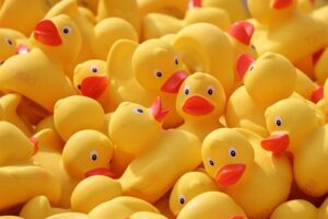 Learn The Technical Foundation Competitive Swimming Is Built On